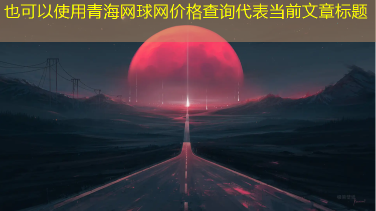 青海网球网价格查询