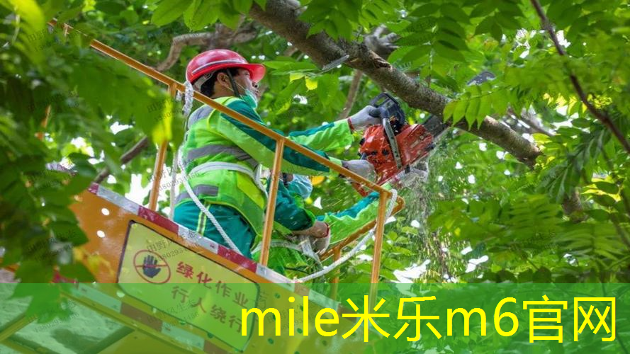 mile·米乐m6：纳达尔和费德勒网球拍