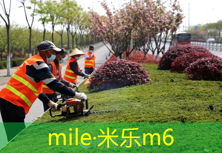 网球拍夹在拍线上的球