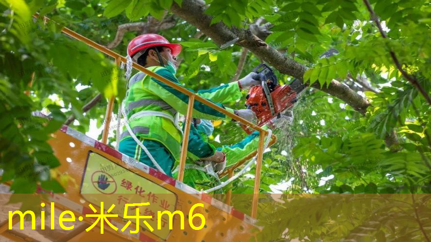 米乐m6官网：网球拍磕到了怎么办啊