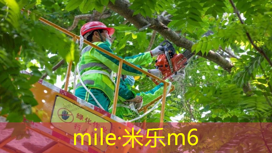 mile米乐m6官网：网球拍不直接塞书包里吗_