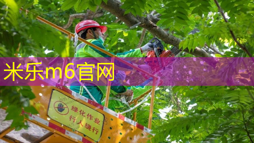 德约科维奇赛后送网球拍