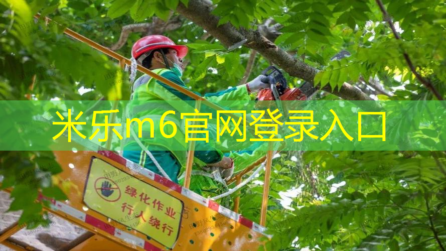 mile·米乐m6：网球拍底盖怎么配色的好看