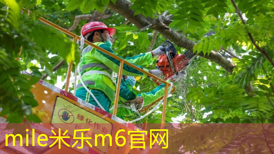 1819的网球拍要多长线
