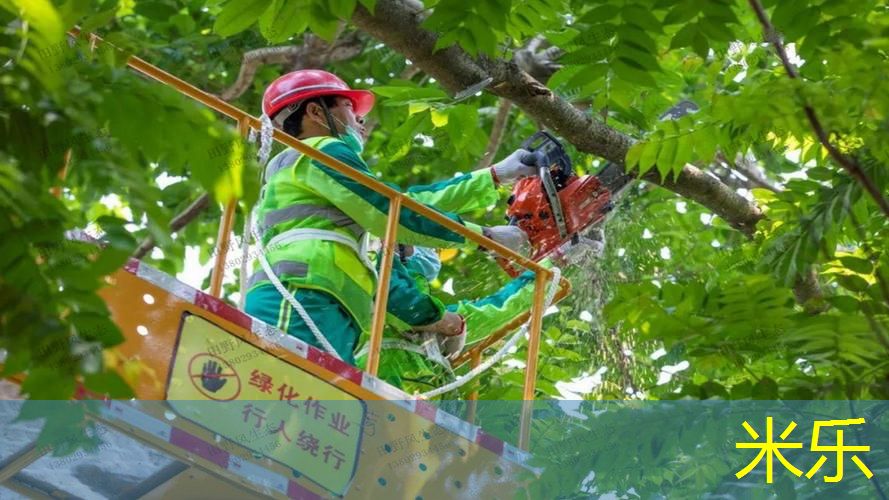 mile米乐m6官网：网球拍效应是什么原理