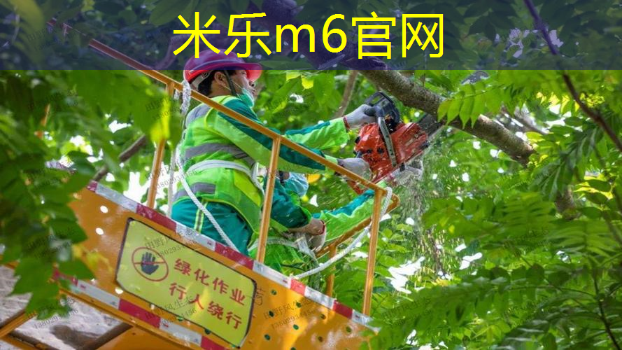 送老公的网球拍好吗_