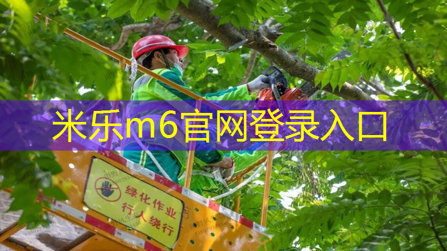 米乐m6官网：网球拍怎么海淘发货的