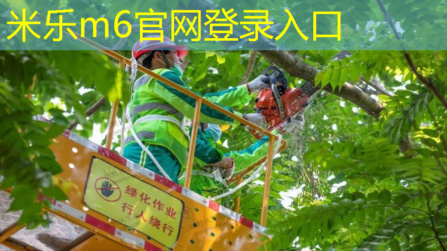 mile米乐m6官网：6种类型塑胶跑道材料价格