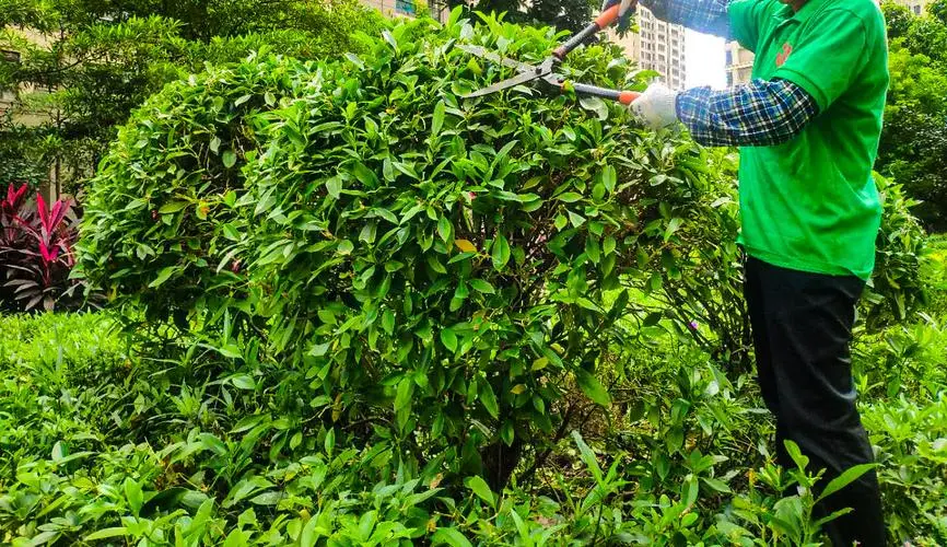米乐：光明哪里有露天乒乓球台