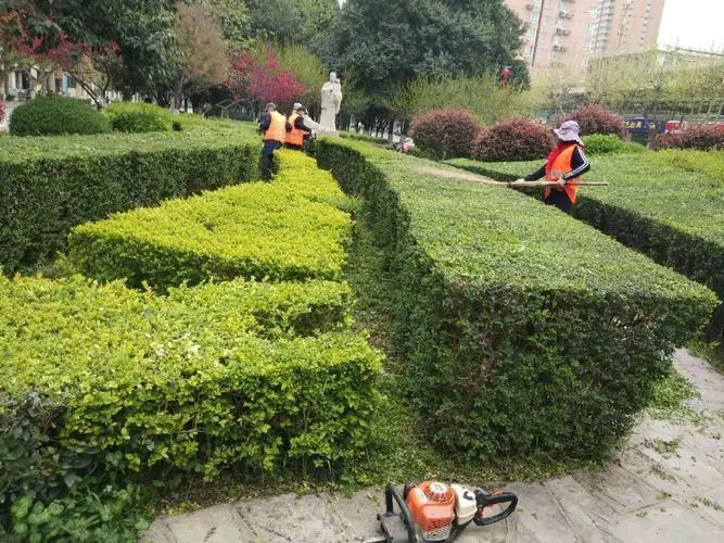 米乐：乒乓球台一般是多长的