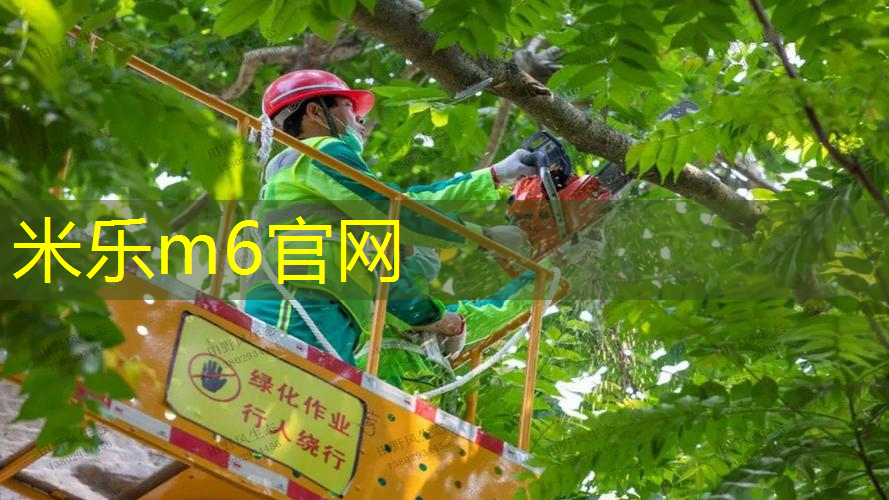 米乐m6官网登录入口：乒乓球台正规尺寸多少