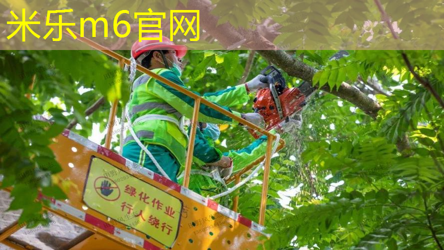 米乐：国外篮球体育器材