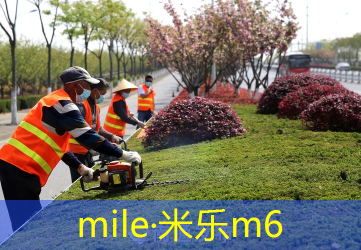 米乐：室内健身房锻炼什么好运动