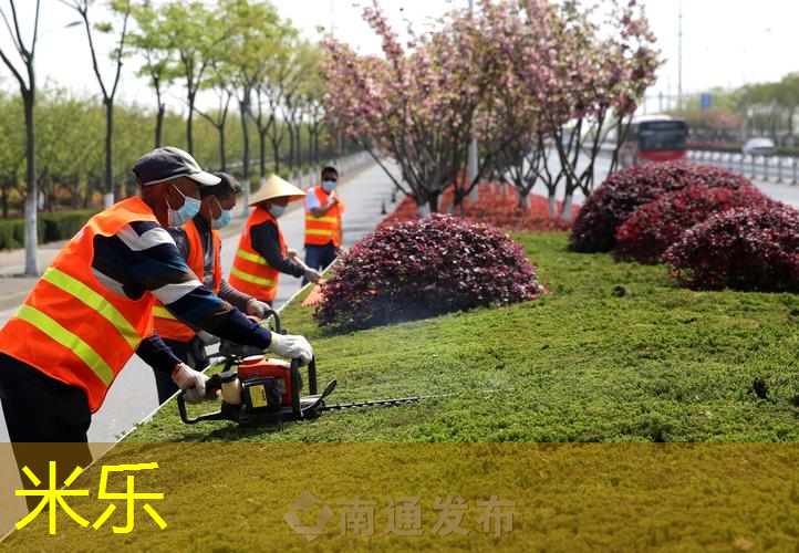 乒乓球台家用怎么选好