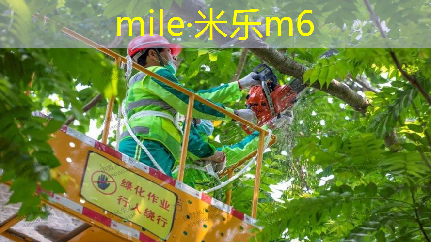 mile米乐m6官网：充满竞争力的篮球架顶棚，为你带来不凡的篮球挑战