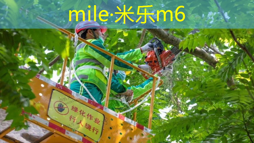 米乐：室内乒乓球台和室外哪个好