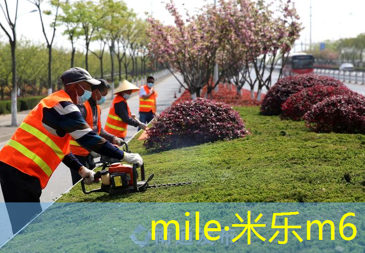 网球拍什么的好用又便宜