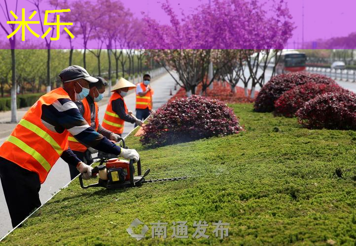 美狮龙网球拍好吗_