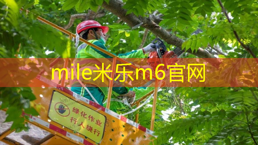 网球拍子成人怎么选尺寸
