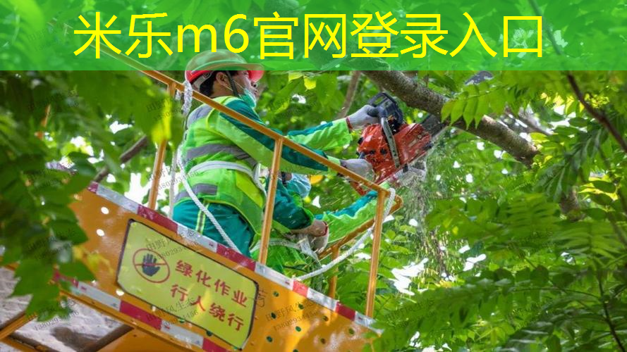 网球拍哪里标注材料是正品