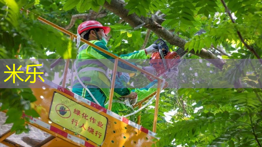 为什么欧洲网球拍便宜呢
