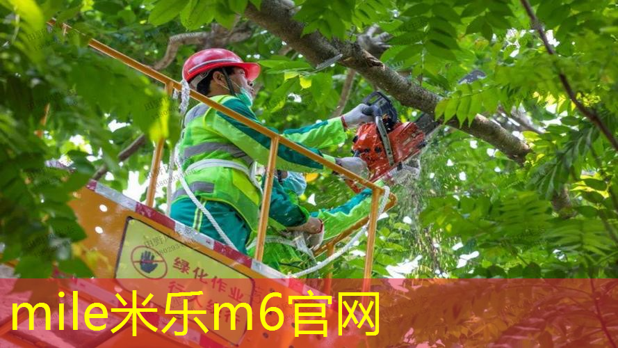 网球拍不直接塞书包里吗_