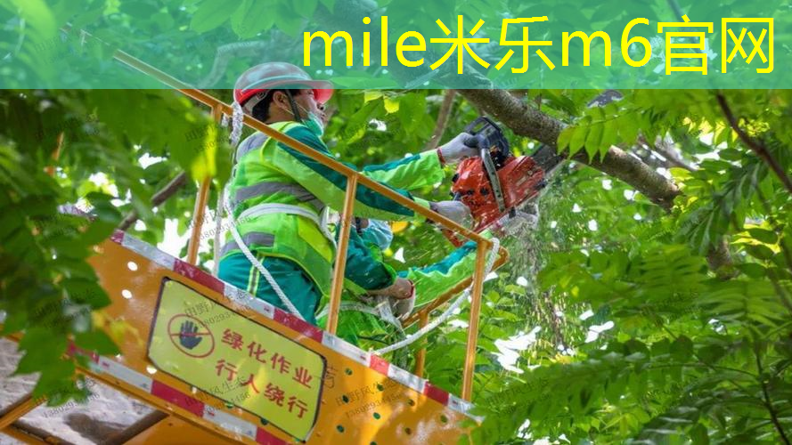 德约科维奇赛后送网球拍