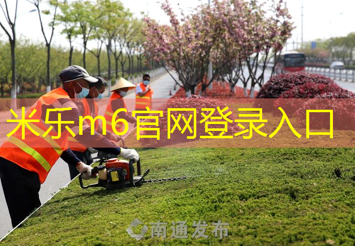 男子网球拍挥重325