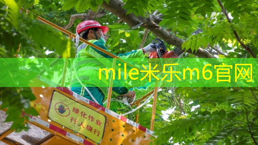 网球拍底盖怎么配色的好看
