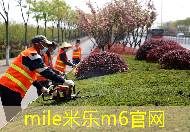 现代正手网球拍价格表图