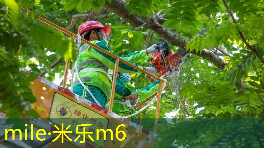 网球拍效应是什么原理