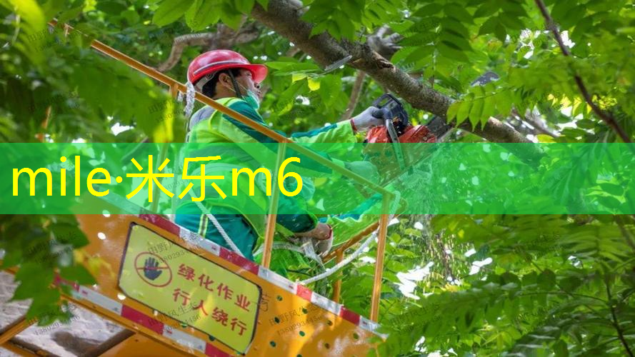 送老公的网球拍好吗_