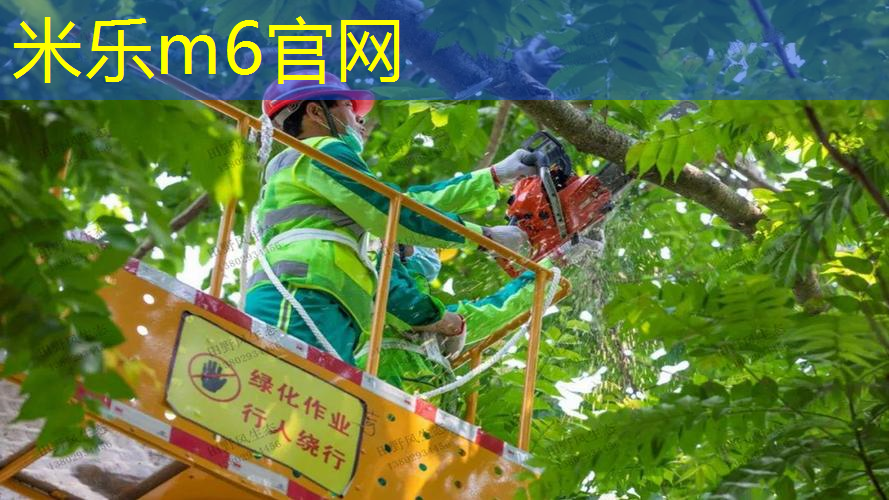 网球拍怎么海淘发货的