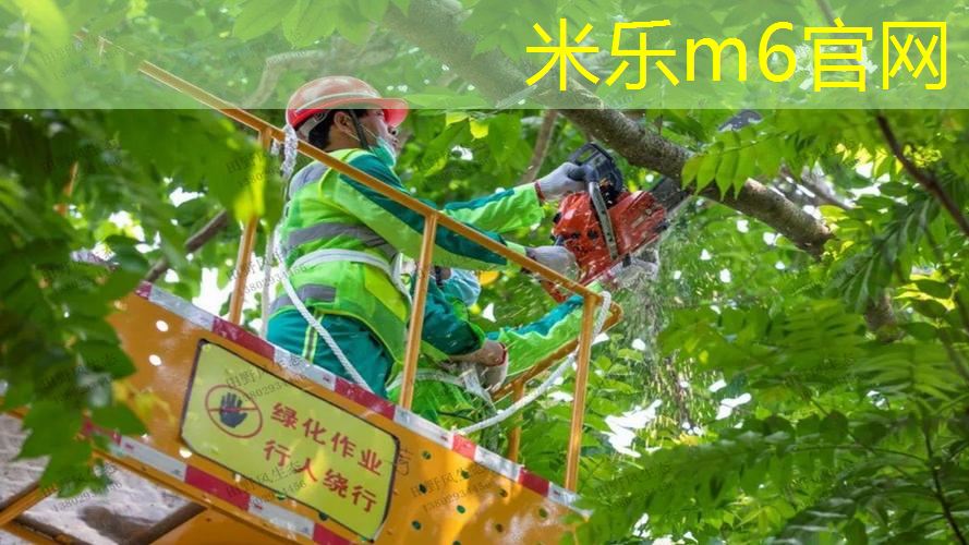 6种类型塑胶跑道材料价格