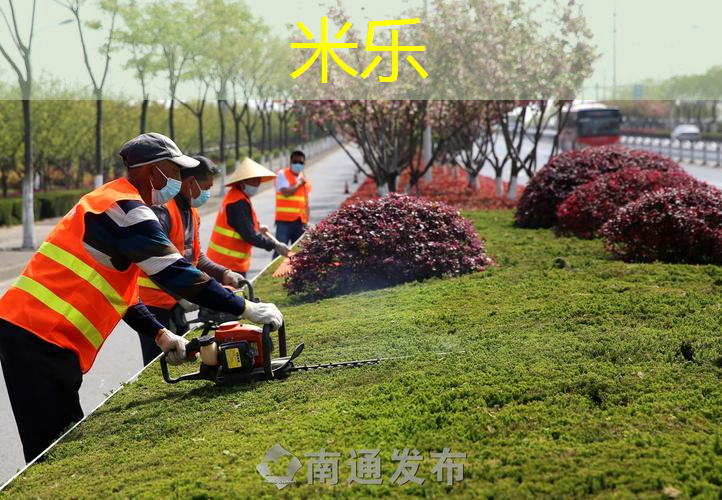 最佳硬度选择：塑胶跑道为运动员创造更好环境