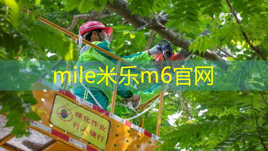 乒乓球台正规尺寸多少