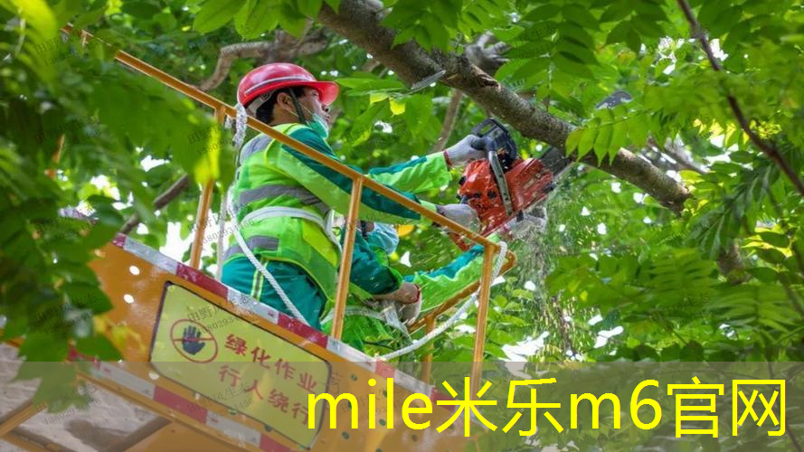 国外篮球体育器材