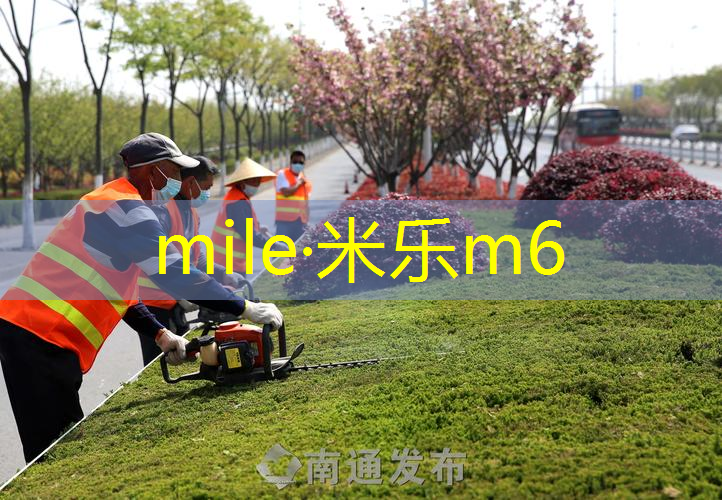 乒乓球台家用怎么选好
