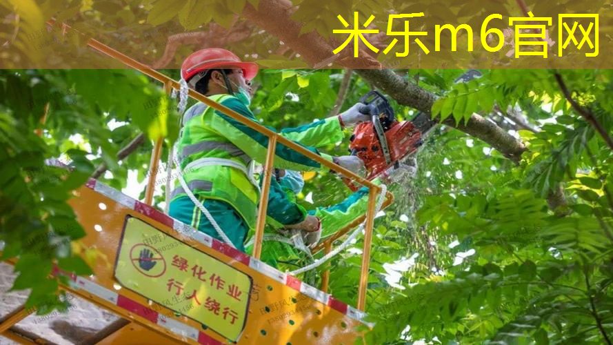 充满竞争力的篮球架顶棚，为你带来不凡的篮球挑战