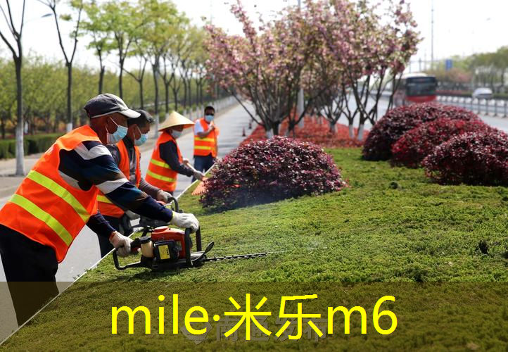 揭秘最新儿童滑梯高度，青少年的梦幻玩乐世界！