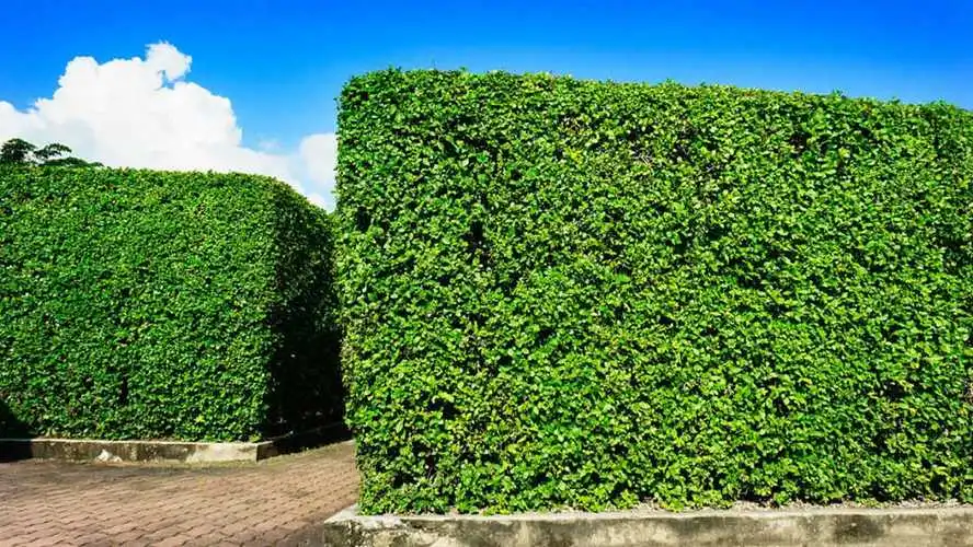 激情奔跑自由飞舞：体育馆推出室外健身器材，点燃你的运动激情！