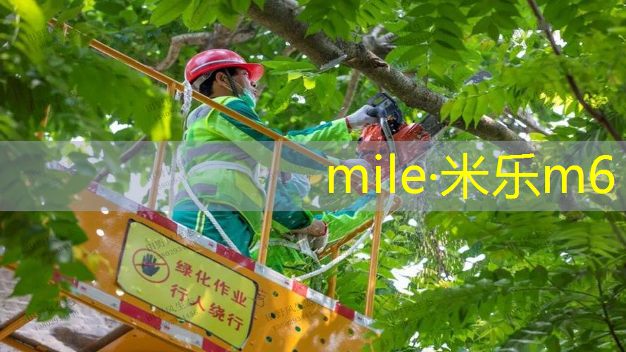 为什么要手擦乒乓球台呢