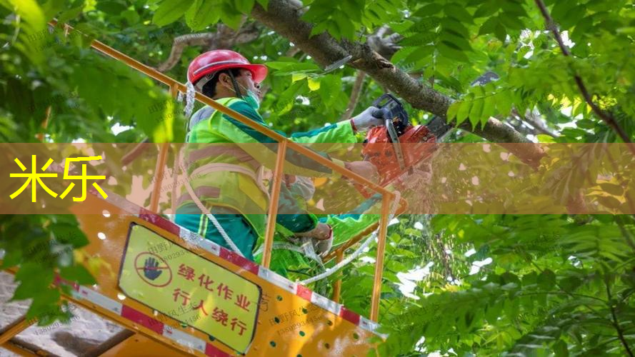 室内乒乓球台和室外哪个好